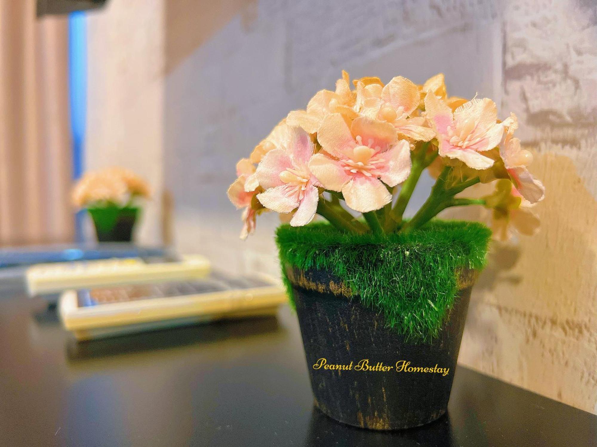 Peanut Butter Homestay #Trefoil Setia City Setia Alam Esterno foto